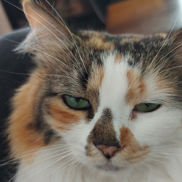 Check my Closet Please ๐๐ป - Picture 1 of 1